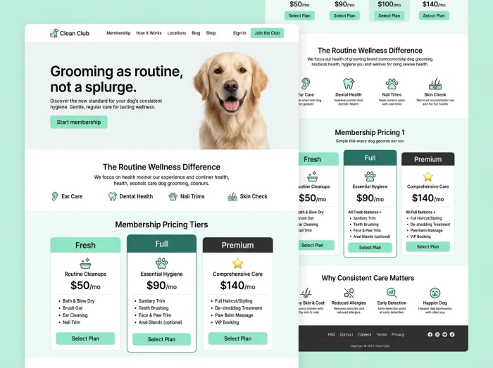 Clean Club — Vets & Grooming website design concept